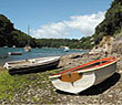 Photo of rowing boats at the side of a lake